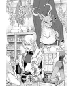 Dragón busca casa Nº 01 (de 10)