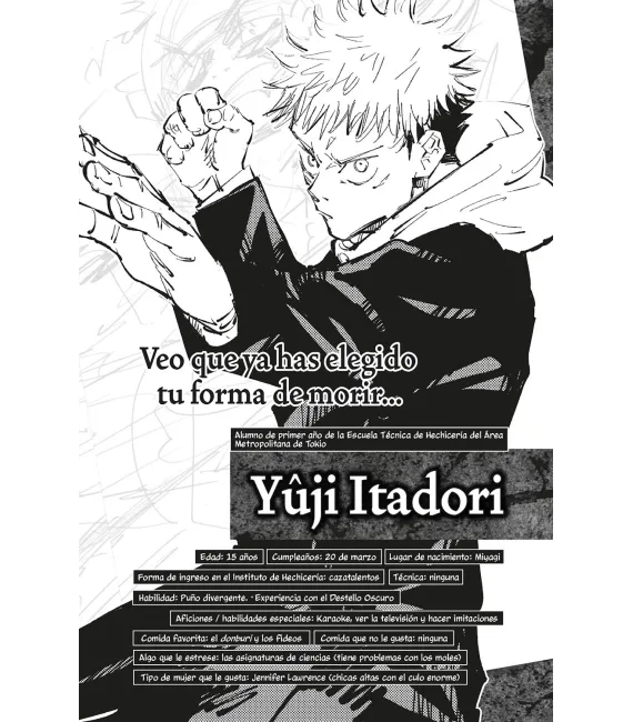 Jujutsu Kaisen (Guerra de Hechiceros): Fanbook Oficial