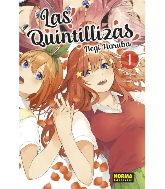 Las Quintillizas Nº 01 (de 14)