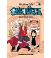 One Piece Nº 41