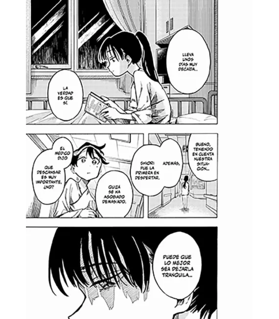Los pecados de la familia Ichinose Nº 1 (de 6)
