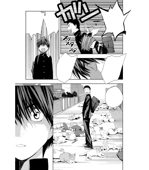 Madaraki Nº 01