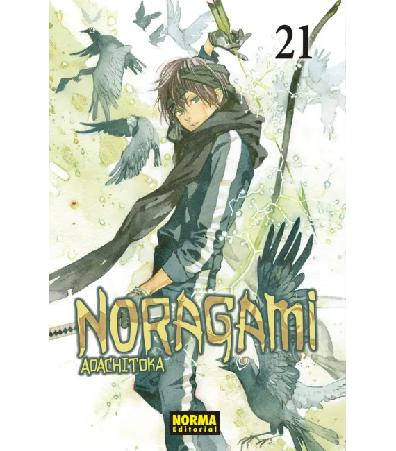 Noragami Nº 21 (de 27)