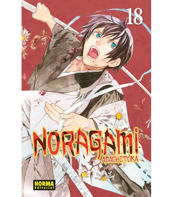 Noragami Nº 18 (de 27)