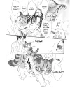 Plum, historias gatunas Nº 01