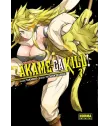 Akame ga Kill! Nº 03 (de 15)