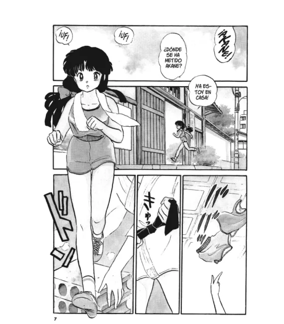 Ranma 1/2 Nº 01 (de 19)