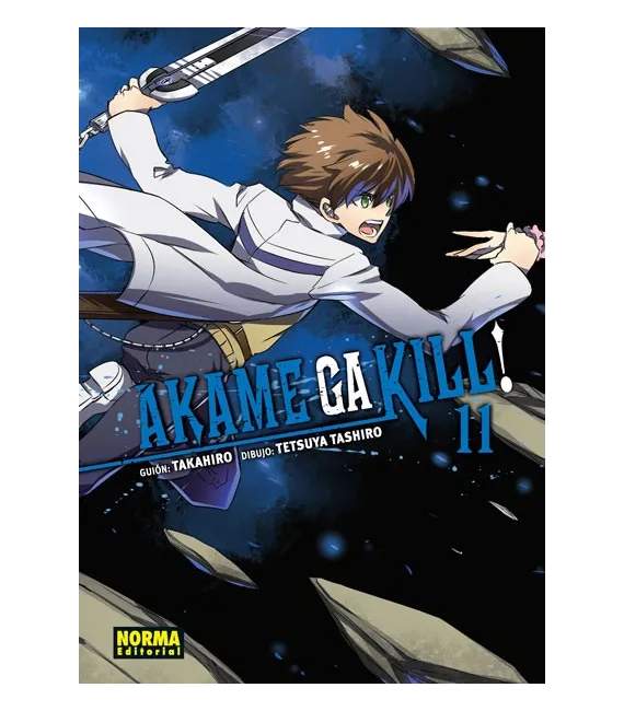 Akame ga Kill! Nº 11 (de 15)