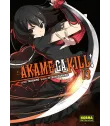 Akame ga Kill! Nº 13 (de 15)