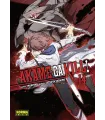 Akame ga Kill! Nº 14 (de 15)
