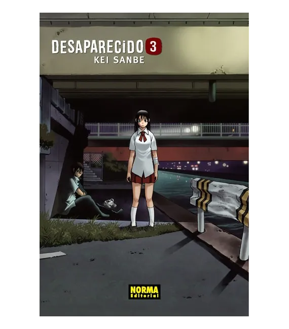 Desaparecido Nº 3 (de 9)