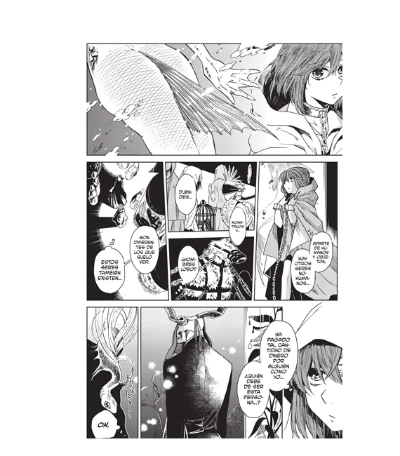 The Ancient Magus Bride Nº 01