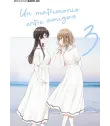 Un matrimonio entre amigas Nº 3