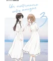 Un matrimonio entre amigas Nº 3