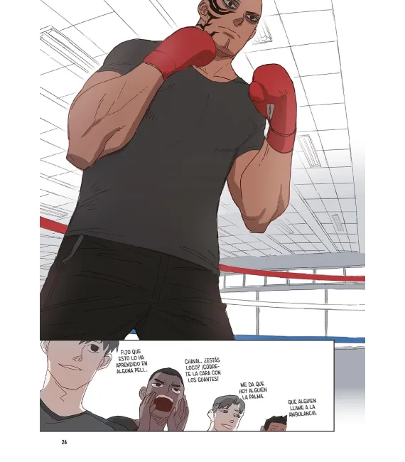 The Boxer Nº 01
