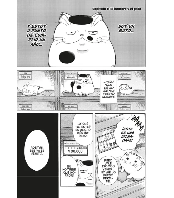 El hombre y el gato Nº 01