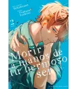 Morir a manos de tu hermoso ser Nº 02