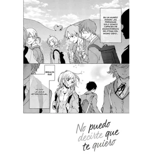 No puedo decirte que te quiero Nº 1 (de 2)