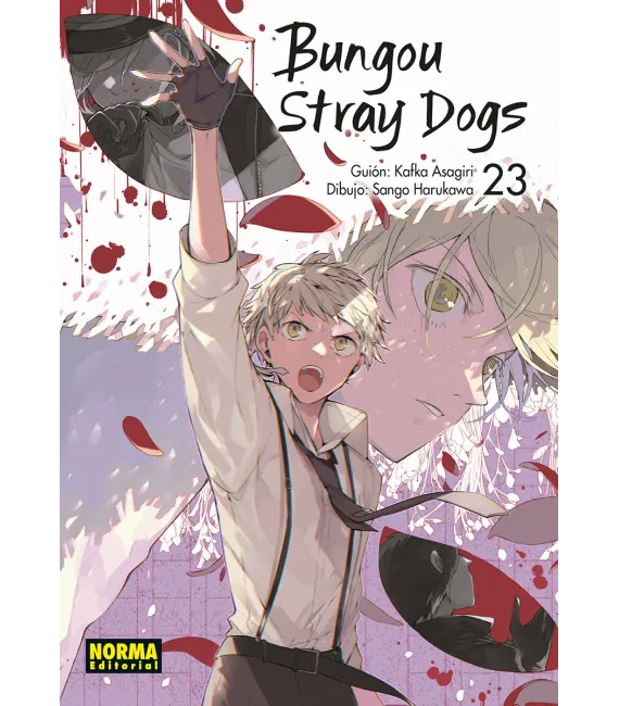 Bungou Stray Dogs Nº 23