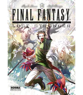 Final Fantasy: Lost Stranger Nº 13