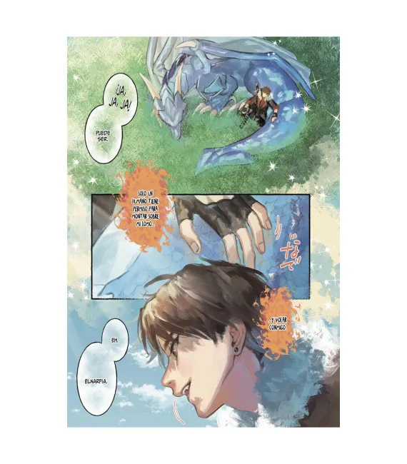 Las crónicas de Wizrain Nº 01