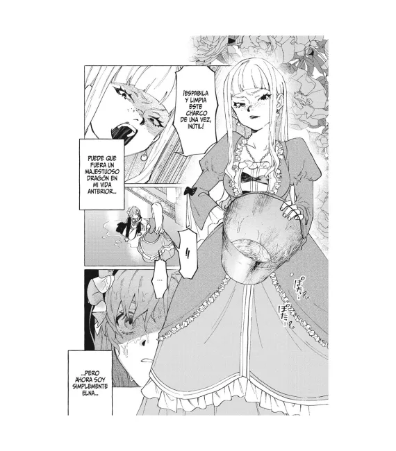 Las crónicas de Wizrain Nº 01