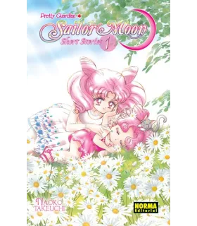 Sailor Moon Short Stories...