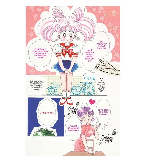 Sailor Moon Short Stories Nº 1 (de 2)