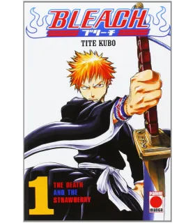 Bleach Nº 01
