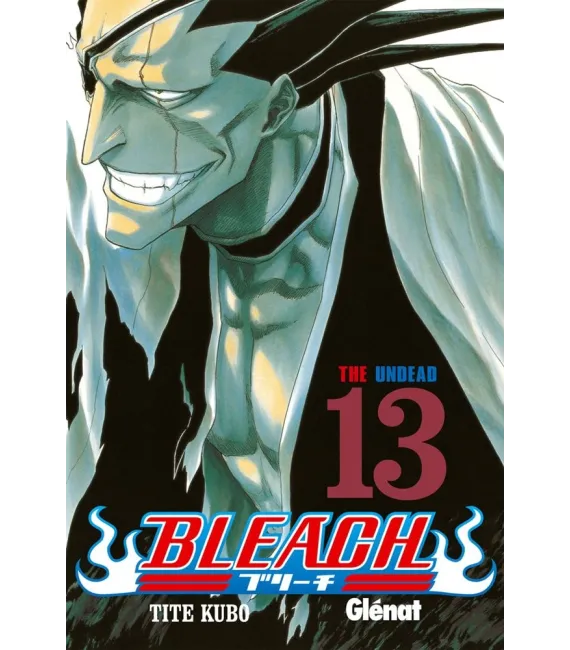 Bleach Nº 13