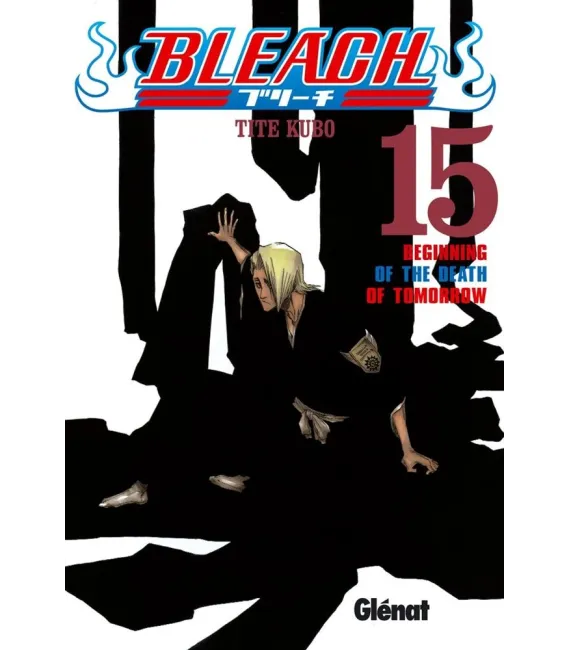 Bleach Nº 15