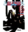 Bleach Nº 15