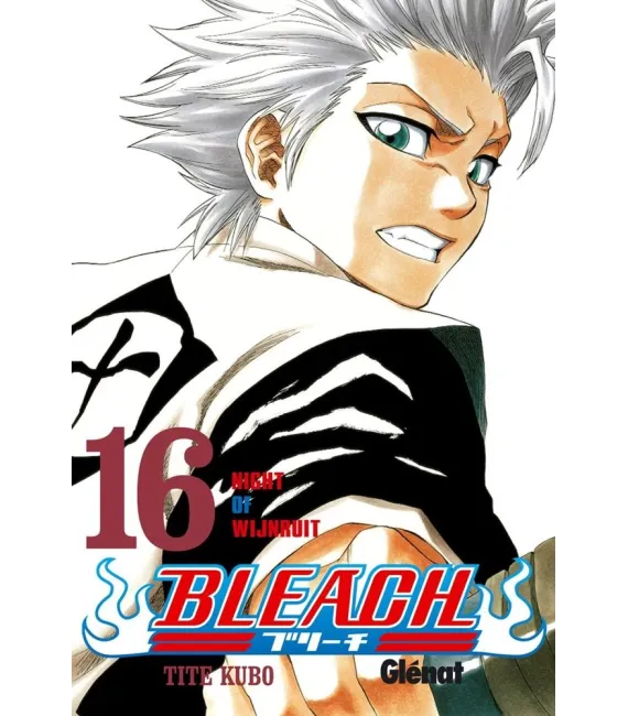 Bleach Nº 16