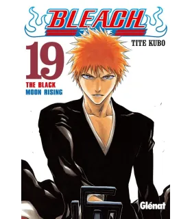 Bleach Nº 19