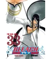 Bleach Nº 33