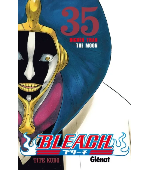 Bleach Nº 35