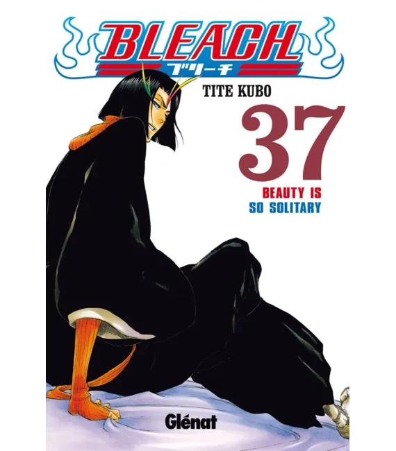 Bleach Nº 37
