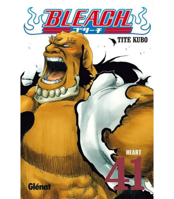 Bleach Nº 41