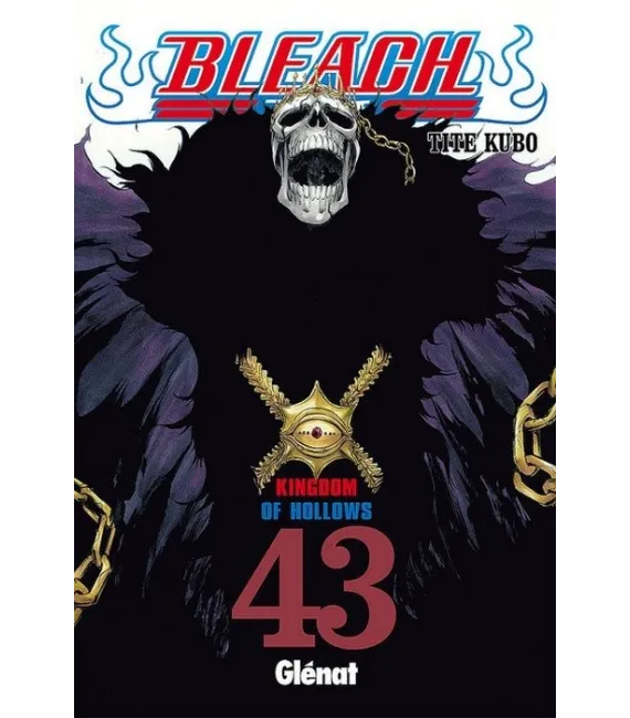 Bleach Nº 43