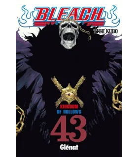 Bleach Nº 43