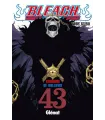 Bleach Nº 43