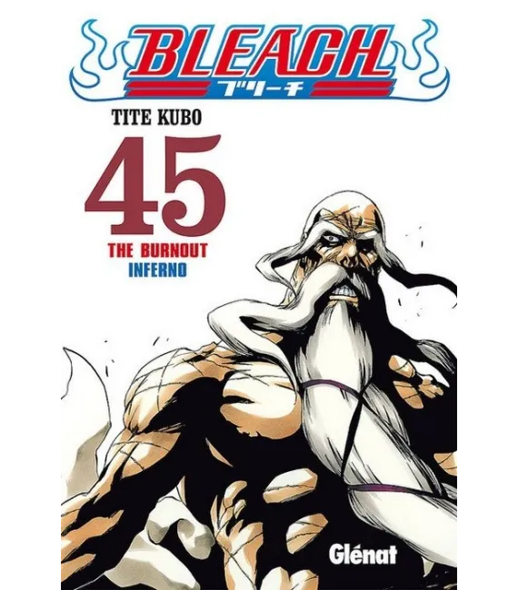 Bleach Nº 45