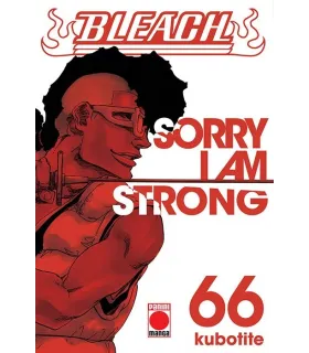 Bleach Nº 66