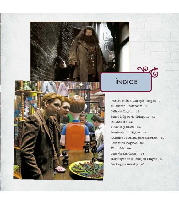 J. K. Rowling's Wizarding World: Callejón Diagón (Un álbum de la película)