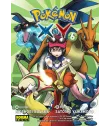 Pokémon X-Y Nº 6 (de 6)