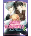 Junjo Romantica Nº 08