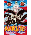Naruto Nº 47