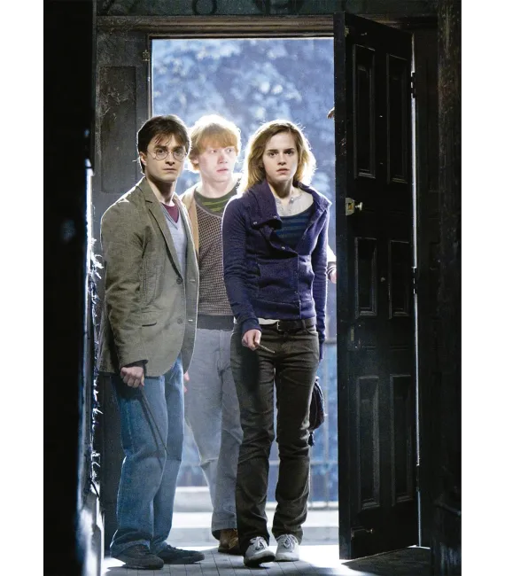 Harry Potter: De la página a la pantalla (Viaje cinematográfico completo)