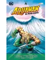 Aquaman de Peter David Nº 1 (de 3)