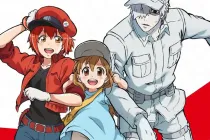 Cells at Work!